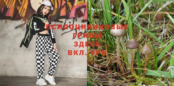 а пвп мука Абинск