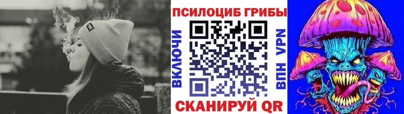 Псилоцибиновые грибы прущие грибы  Луга 